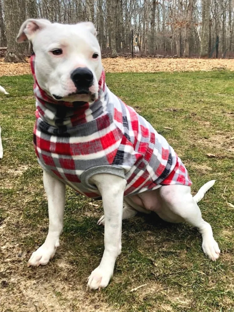 Aspen Distressed Plaid Dog Sweater