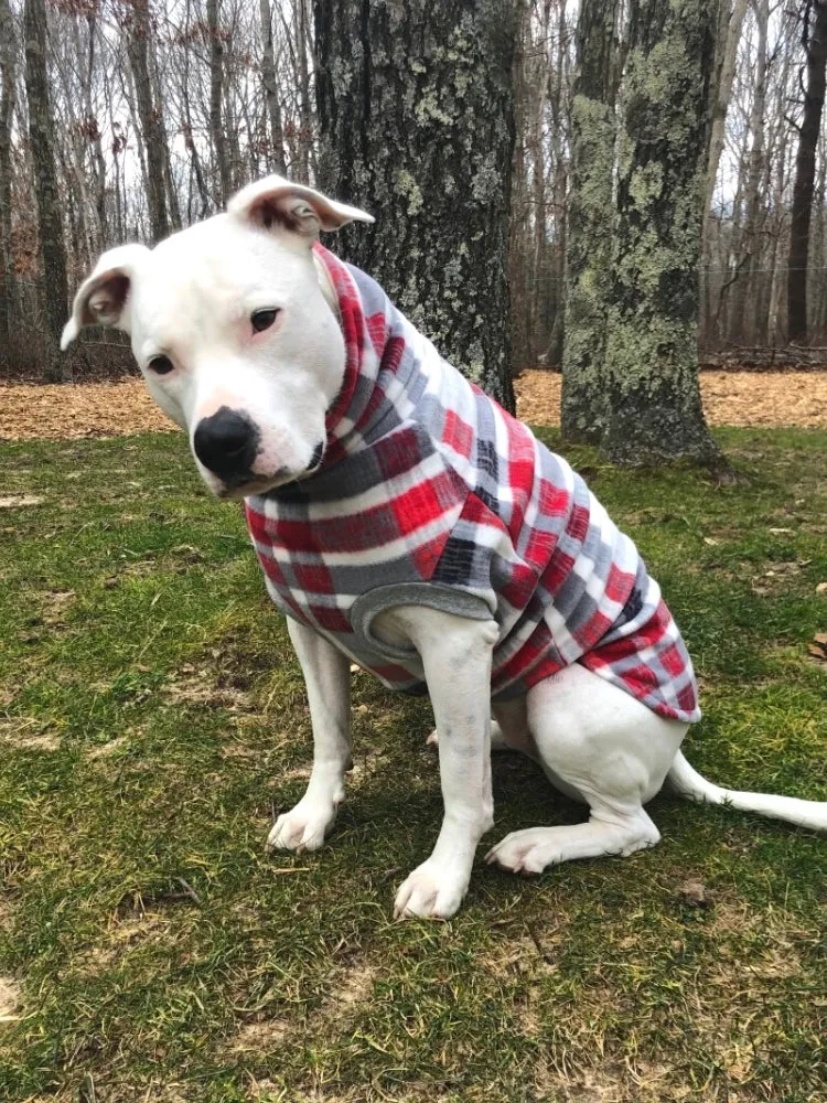 Aspen Distressed Plaid Dog Sweater