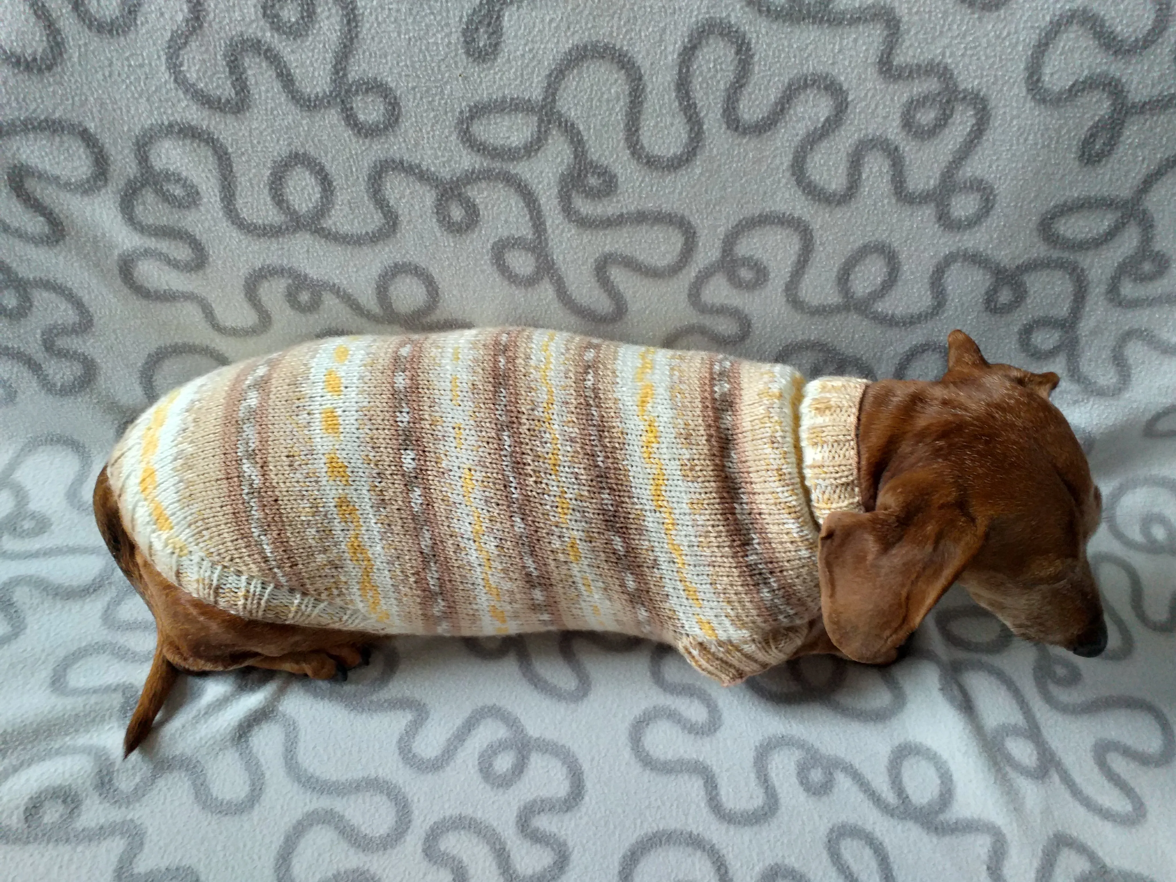 Knitted clothes dachshund sweater, dachshund clothes, dachshund sweater, doxie clothes