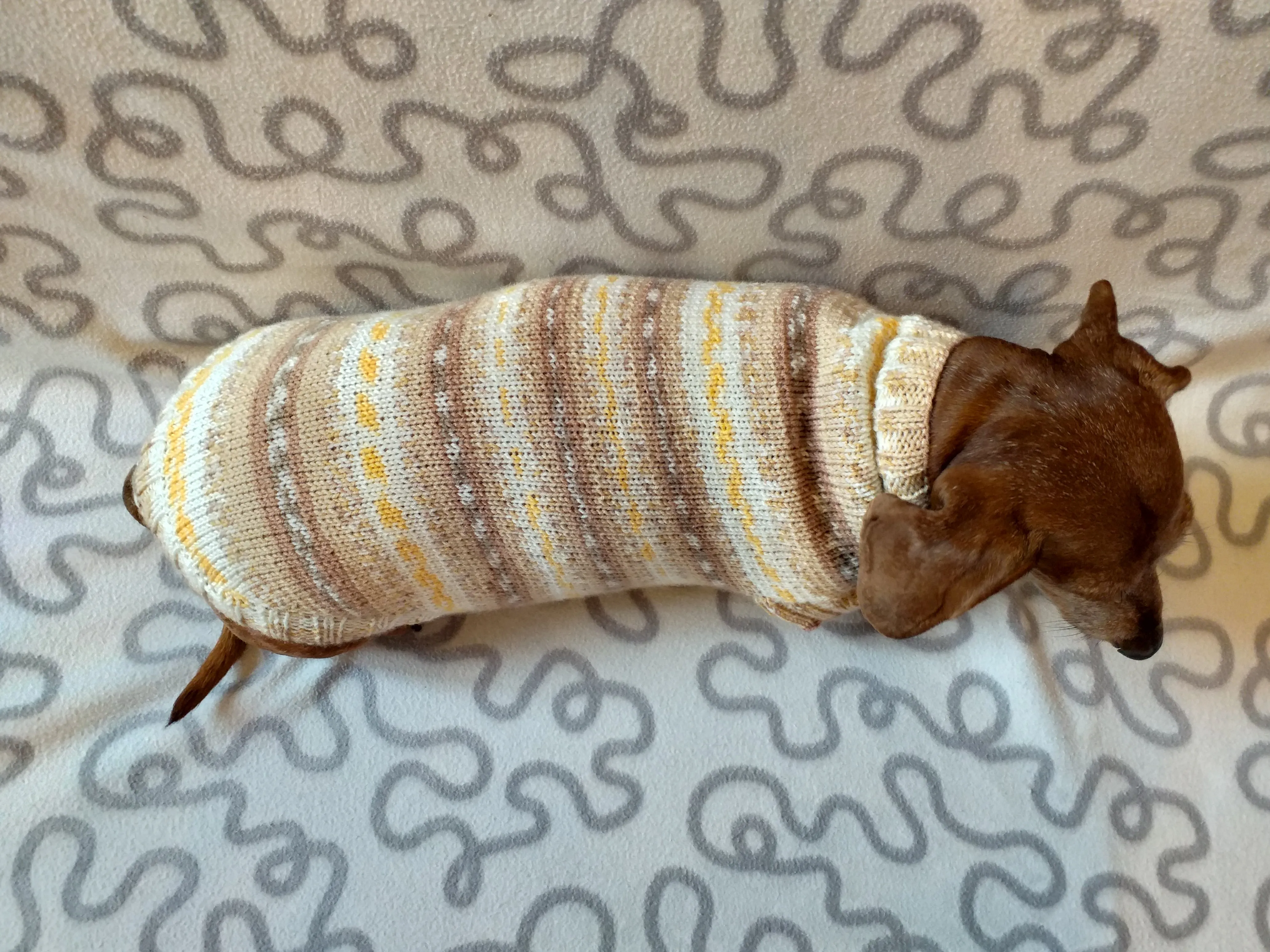 Knitted clothes dachshund sweater, dachshund clothes, dachshund sweater, doxie clothes