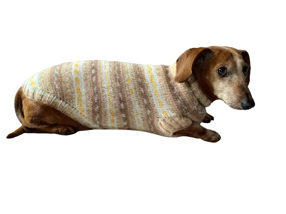 Knitted clothes dachshund sweater, dachshund clothes, dachshund sweater, doxie clothes