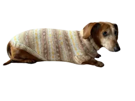 Knitted clothes dachshund sweater, dachshund clothes, dachshund sweater, doxie clothes