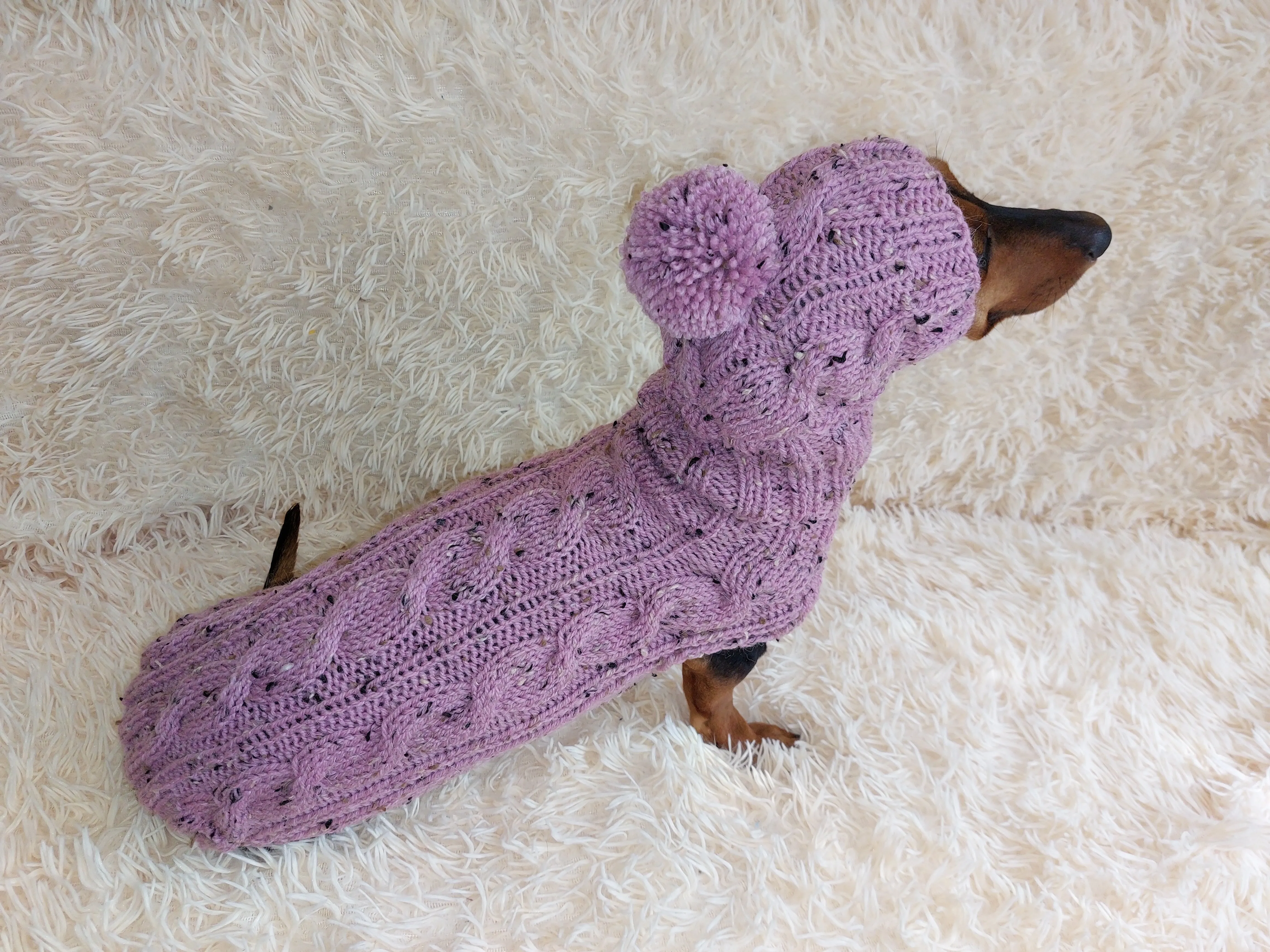 Pink alpaca wool costume with classic arana sweater and hat for dachshund or small dog, winter set sweater and hat for dogs