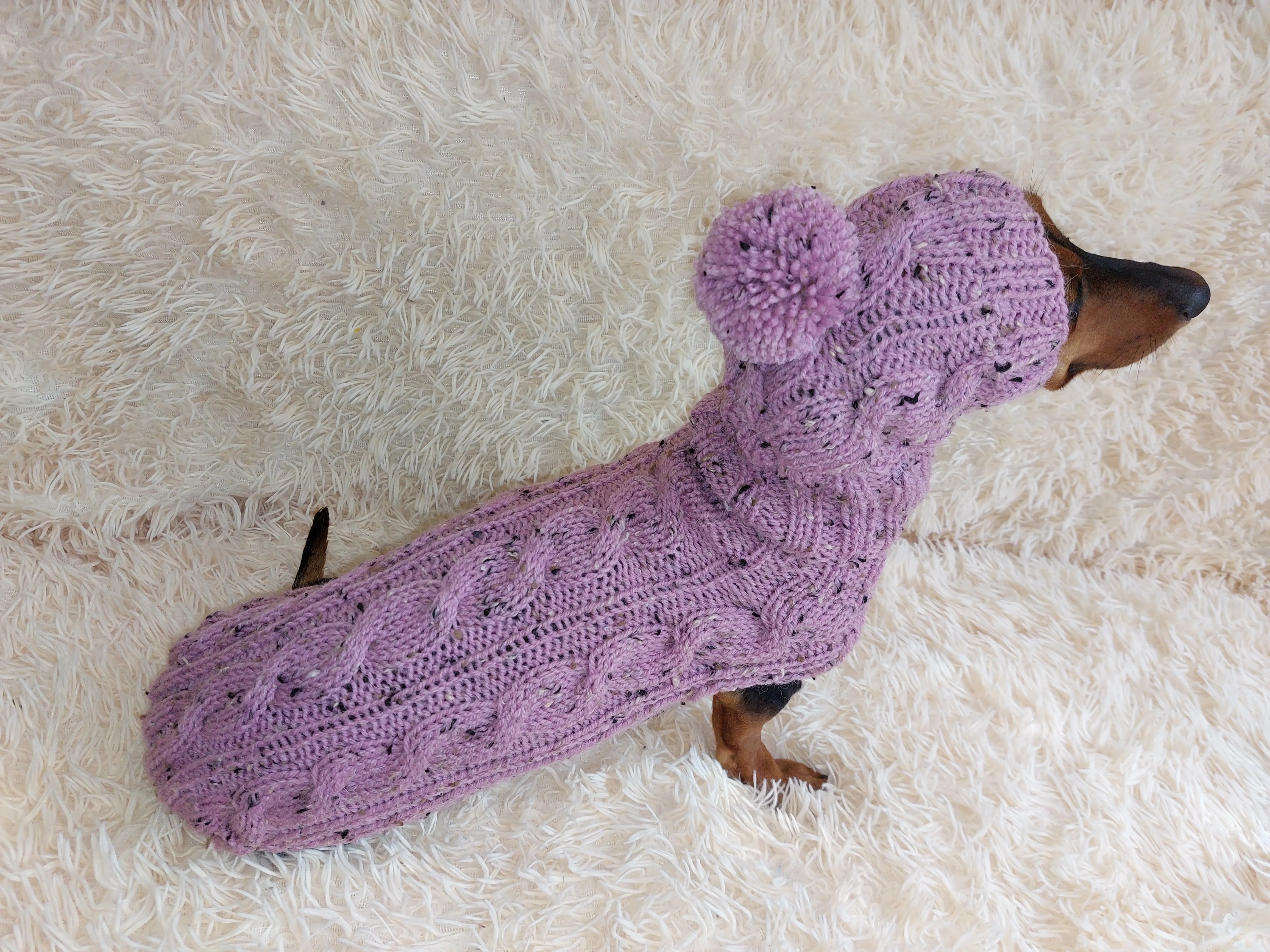 Pink alpaca wool costume with classic arana sweater and hat for dachshund or small dog, winter set sweater and hat for dogs