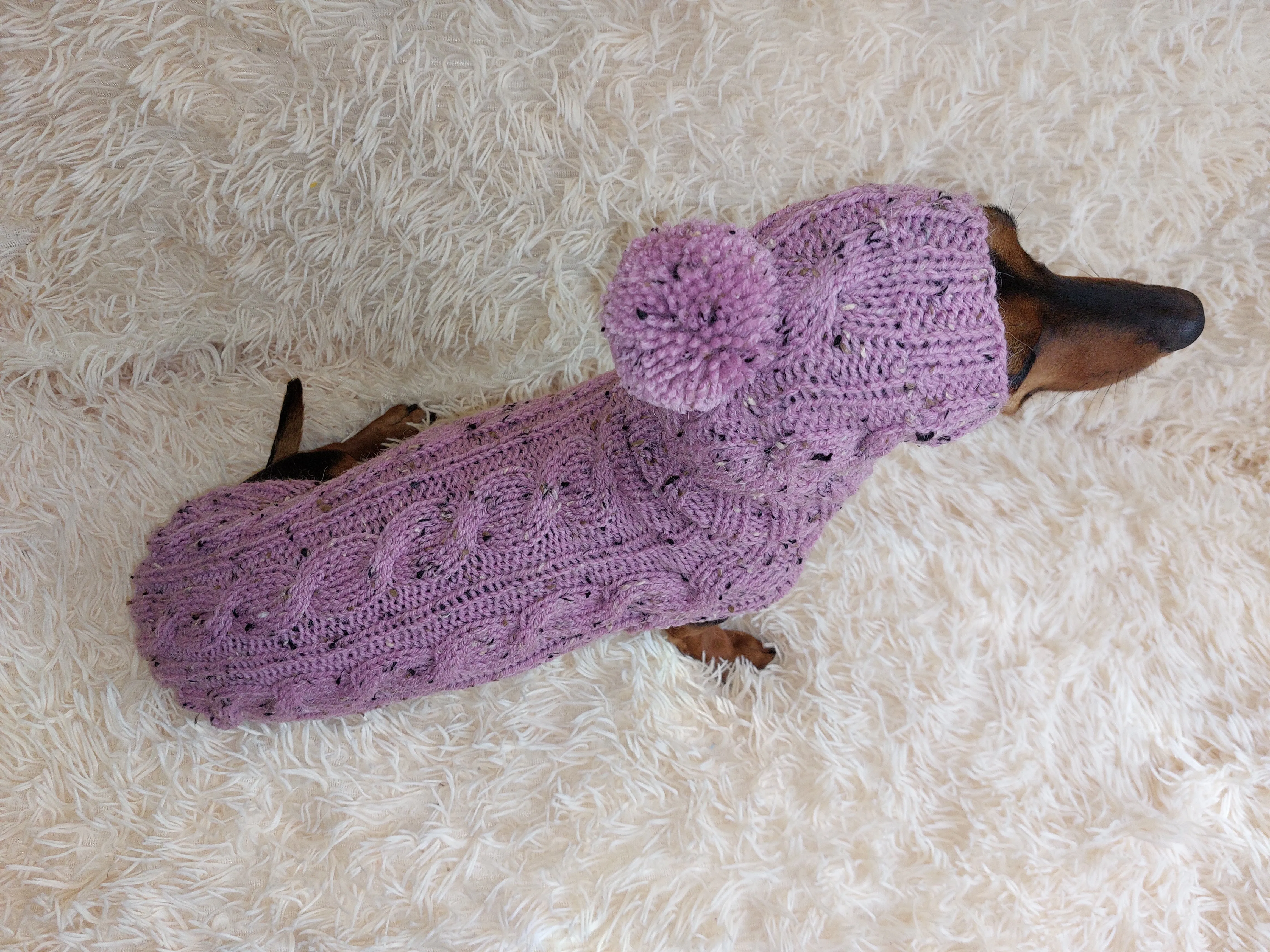 Pink alpaca wool costume with classic arana sweater and hat for dachshund or small dog, winter set sweater and hat for dogs