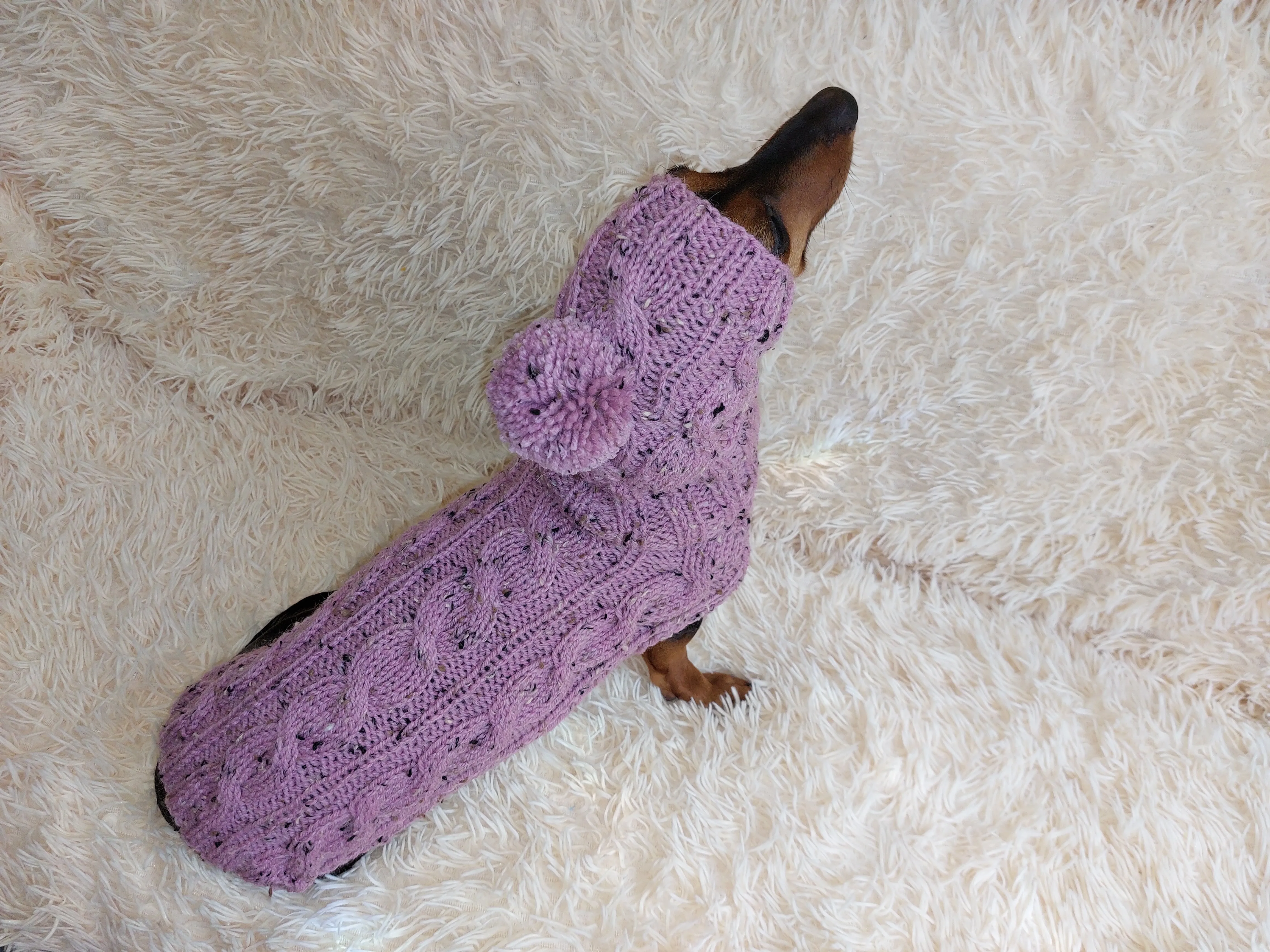 Pink alpaca wool costume with classic arana sweater and hat for dachshund or small dog, winter set sweater and hat for dogs