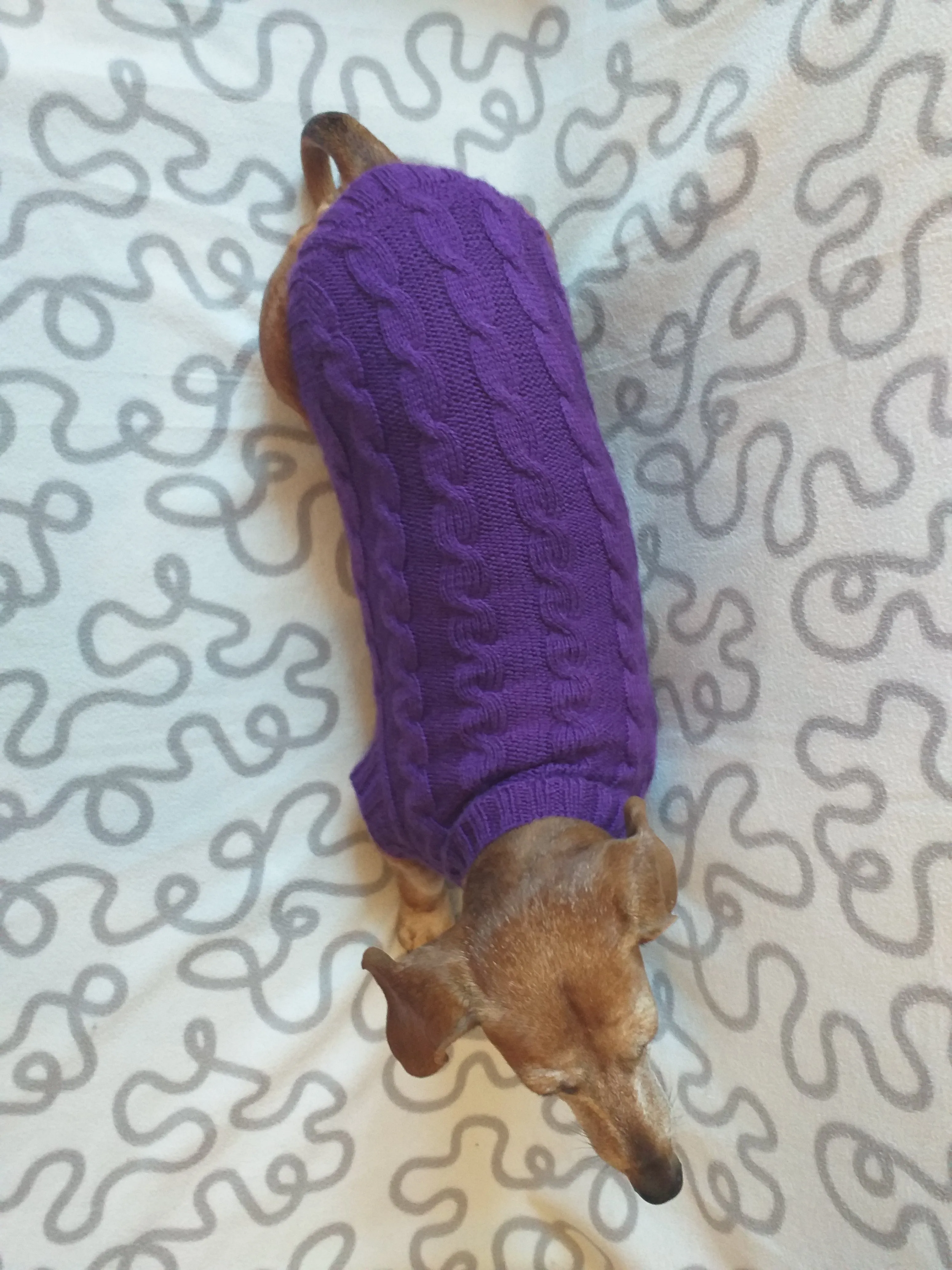 Purple knitted sweater for dogs, clothes for dachshunds, sweater for dogs, clothes for dogs, sweater for small dogs, dachshund sweater